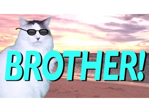 Download MP3 HAPPY BIRTHDAY BROTHER! - EPIC CAT Happy Birthday Song