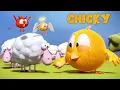 Download Lagu Where's Chicky? Funny Chicky 2020 | CHICKY'S CHOICE | Chicky Cartoon in English for Kids