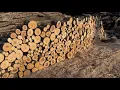 We Had a VERY Unusual Firewood Order 1 Cord of 10 Wood