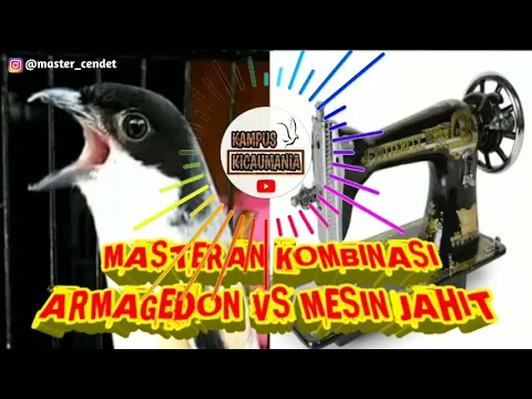 Download MP3 MASTERAN SPEED ARMAGEDON VS MESIN JAHIT RAPAT TERBARU !!MUDAH DITIRU
