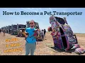 EVERYTHING You Need to Know to Become a Pet Transporter Georgia to California w Pro Transporter
