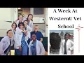 A Week At WesternU Vet School