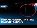 Lagu VIRAL PENAMPAKAN PUTIH DI ACEH TAMIANG BERGELANTUNGAN DI POHON! Netizen: Itu Jenazah Korban Banjir