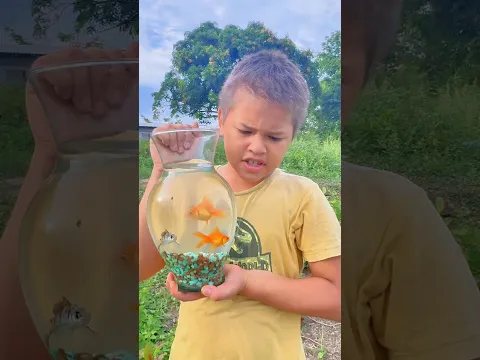 Ya no quiero estos peces