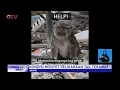 Lagu Tak Terawat, Seekor Monyet Ekor Panjang Bernama Cika Dievakuasi Petugas #BuletiniNewsSiang 16/09