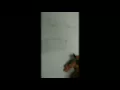 int main Vs void main