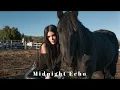 Download Lagu Azimov - Midnight Echo (Original Mix)