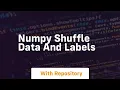 numpy shuffle data and labels