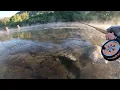 Umpqua River Smallmouth Bass Looking For A Big One