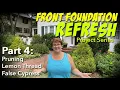 Front Foundation Refresh - Part 4 Pruning Lemon Thread False Cypress