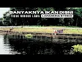 Lagu IKAN BANYAK MANCING TIDAK PERLU NUNGGU LAMA | MANCING MANIA