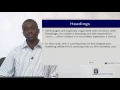 CSIT 208 - Session 6