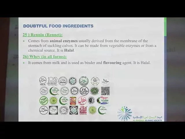 ⁣Doubtful Food Ingredients - Sayed Aqeel Shah