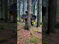 Download Lagu Tree Hugger Harvester: Precision Tree Felling in Action 🌲🚜