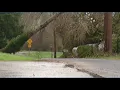 Olympia power outages