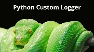 Python logging custom logger with color and format