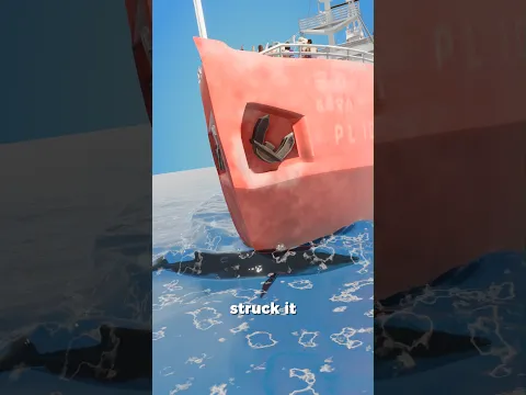 A Whale Got Trapped on Their Ship’s Bow