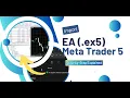 Your EX5 EA Isn t Working in MT5 Fix It in Minutes