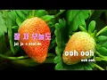[TJ노래방] 잘자(Teddy Bear) - NCT DREAM / TJ Karaoke