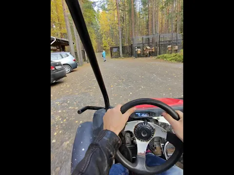 На багги по кареллии 🔥