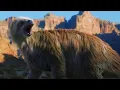 Ice Age Giants BBC 2013 - Shasta Ground Sloth Nothrotheriops shastensis Screen Time
