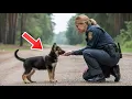 Kleine Duitse herder puppy volgt agent voor hulp – wat ze ontdekt, laat haar in tranen uitbarsten!