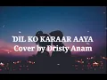 Download Lagu Dil Ko Karaar Aaya (Cover \u0026 Lirik Terjemahan)