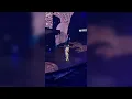 Scat Pack en Vivo - Omar Courtz x Clarent | Madrid, Movistar Arena (09/11/2025)