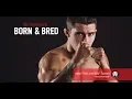 Tiger Schulmann s Born and Bred - Mike The Lone Wolf Trizano