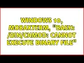 Windows 10 MobaXterm bash cannot execute binary file 2 Solutions