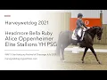 Download Lagu Alice Oppenheimer \u0026 Headmore Bella Ruby E. Stallions PSG; NAF 5* Hartpury Festival of Dressage 2021