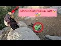 Download Lagu Helping a nomadic child after being rescued by an operator@Zardku730 @DooD-1