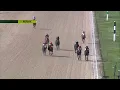Tampa Bay Downs Live Stream