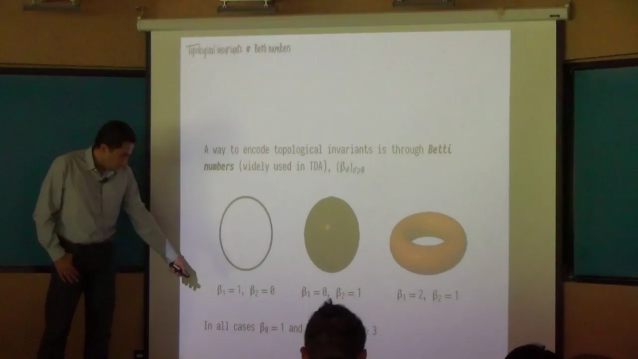 Fabian Martínez - Introducción al análisis topológico de datos
