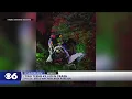 2 teenage boys killed another injured in Henrico County crash