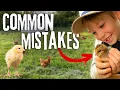 Raising BABY CHICKS - What to AVOID