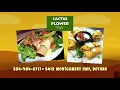 Cactus Flower S and D