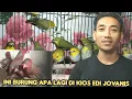 Download Lagu INI BURUNG APA LAGI DI KIOS EDI JOVANIS 