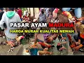 Download Lagu Pasar Ayam Bangko Madura yang Selalu Ramai | Review Harga Ayam Bangkok Terbaru