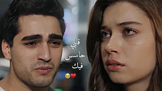 سيران وفريد قلبي حاسس فيك اليسا الطائر الرفراف Seyran Ve Ferit 2alby 7ases Feek 