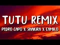 Download Lagu Camilo, Shakira, Pedro Capó - Tutu Remix (Letra/Lyrics)