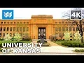 4K University of Kansas KU in Lawrence Kansas USA - Jayhawks Campus Virtual Walking Tour