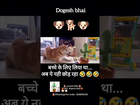 Funny Dog🤣| Cactus With dog😅| laughing #baby #dog