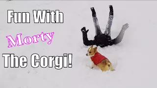 Corgi and Family First | Sailing Wisdom Ep 107