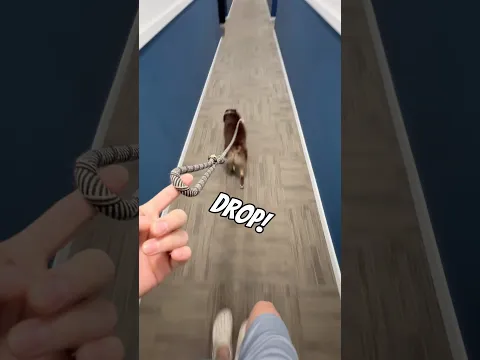 Mom would get so mad if I lost DAD
