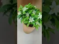 Vídeo do produto