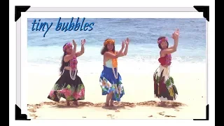 Tiny Bubbles Hawaiian Dance