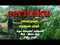 CERITEKU - LAGU DANGDUT JEME KITE -  VOCAL YOPI - CIPTAAN YOPI - Arr Akbar