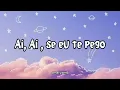 Download Lagu Ai se eu te pego🎶 | Michel Telo | lyrics video