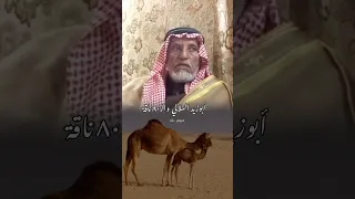 سالفة أبوزيد الهلالي والثمانون ناقة اكسبلور 